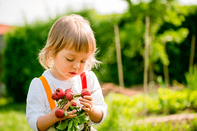 Our Centre - Little Bunya's Early Education Centre of Excellence